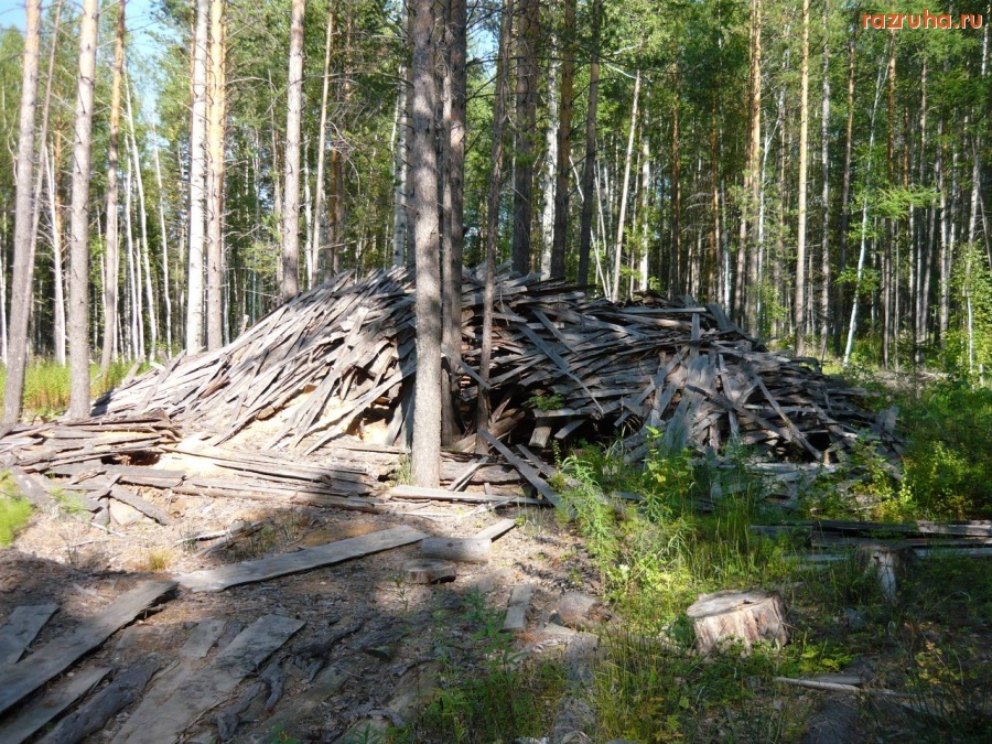 Нижняя Пойма - Гора сухого горбыля в лесу уже третий год, - закладка для верхового пожара.