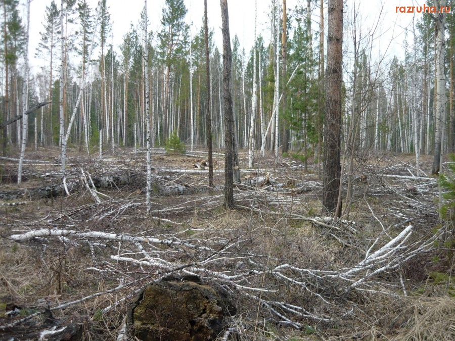 Нижняя Пойма - Грустный этюд