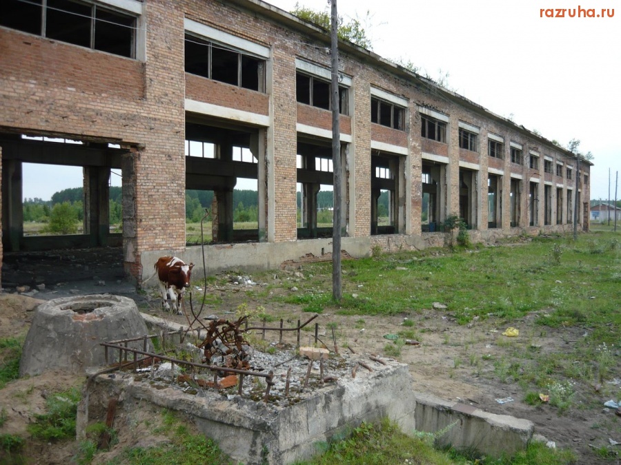 Нижний Ингаш - Цех бывшего Тинского РММЗ - снаружи сегодня.