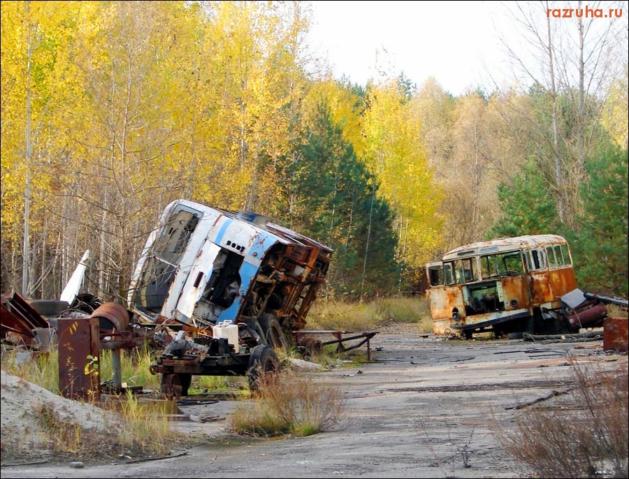 Лобня - патп42