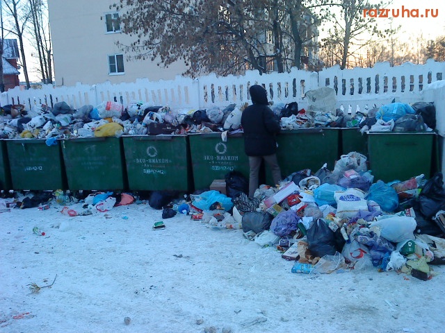 Луховицы - новогодняя помойка