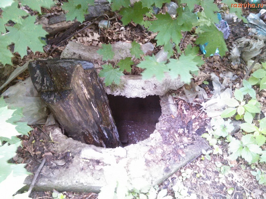 Курская область - Люк в лесу