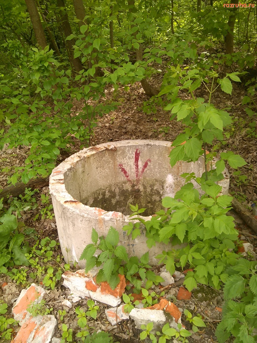 Курская область - Люк в лесу