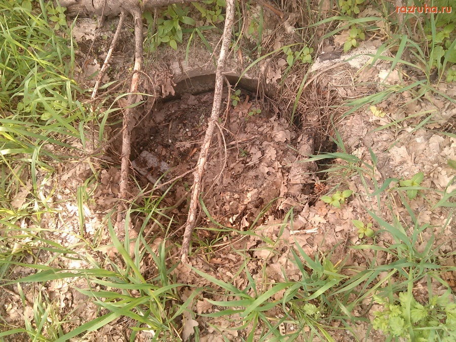 Курская область - Придорожный люк