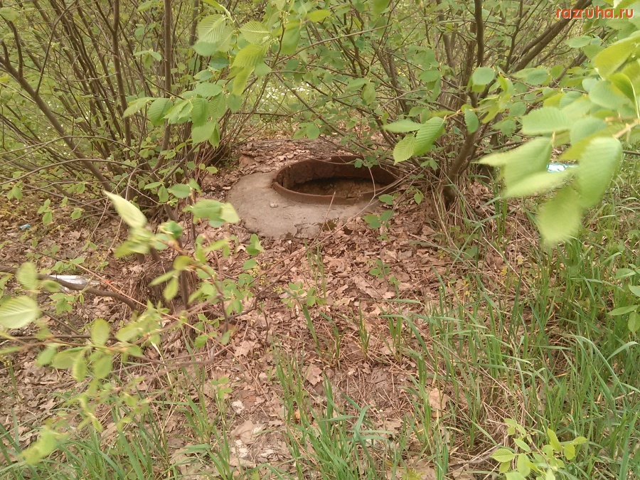 Курская область - Люк под кустиком