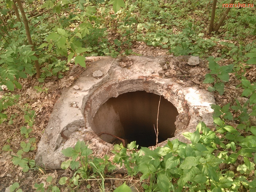 Курская область - Глубокий люк в лесу