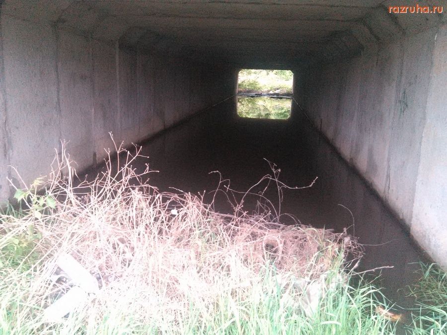 Курская область - Болото под дорогой