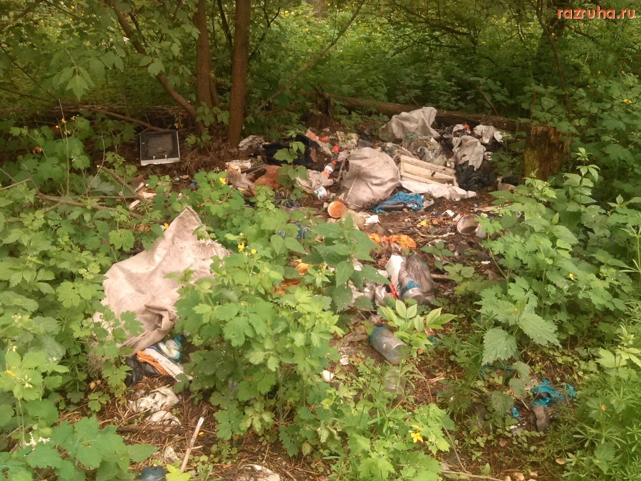 Курская область - Мусор в лесу