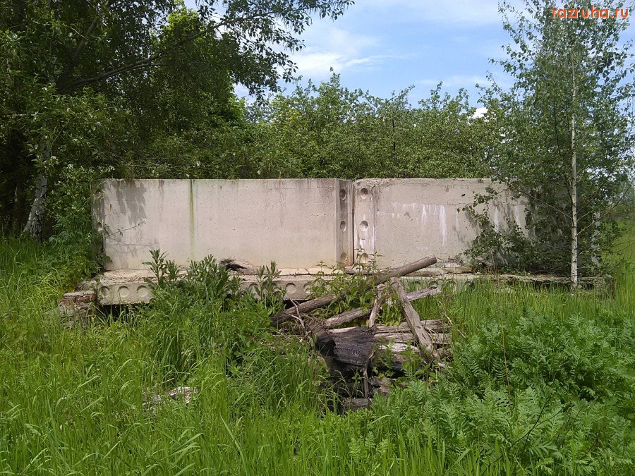 Курская область - Нечто