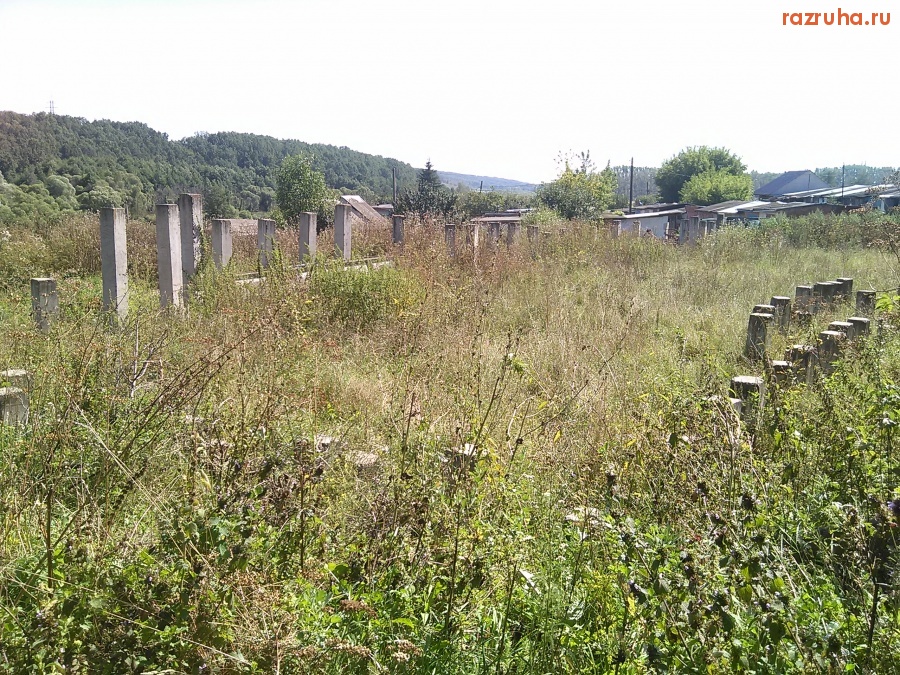 Курская область - Семейка свай