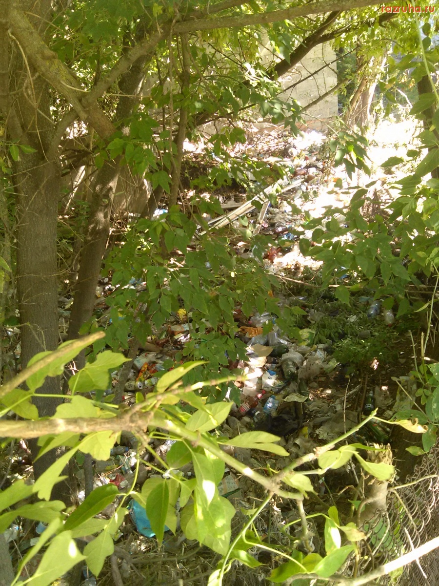 Курская область - Мусор за сеткой