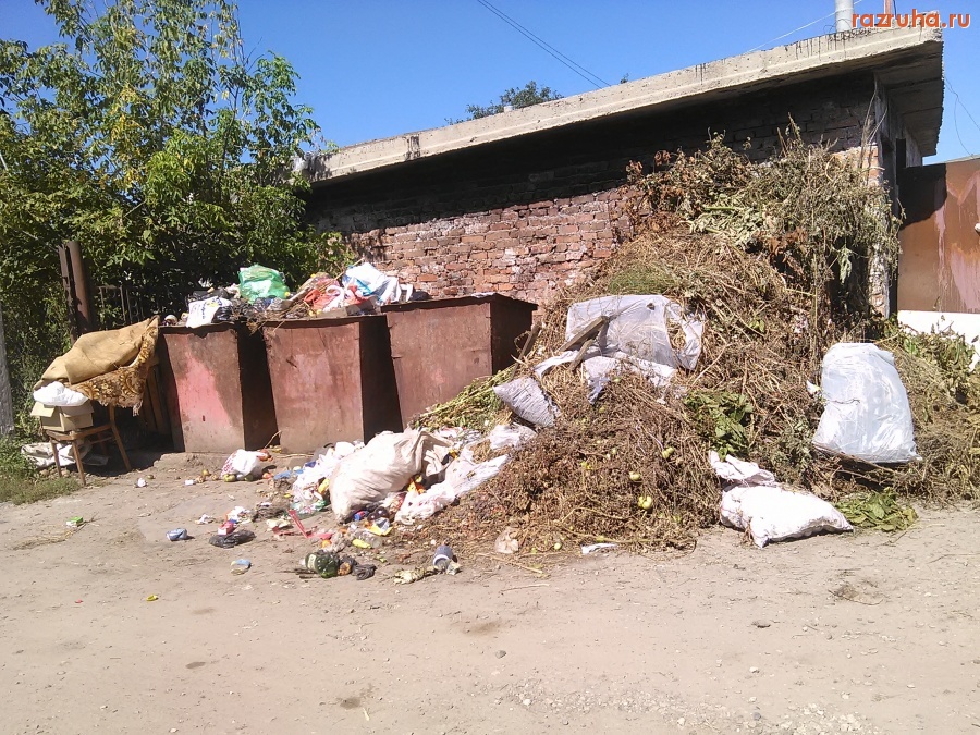 Курская область - Помойка возле сортира