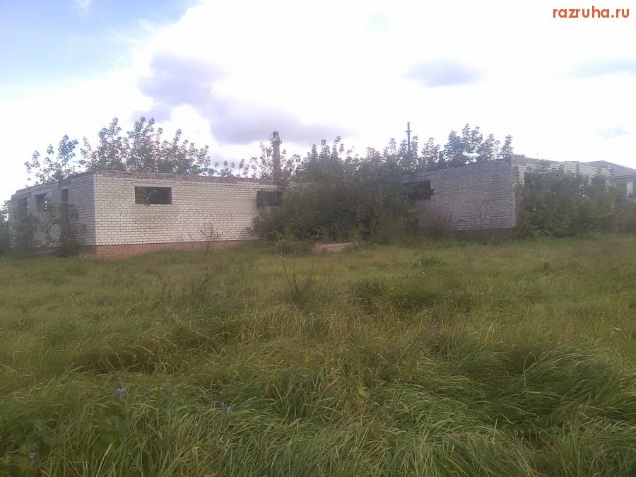 Курская область - Заросшее здание у помойки