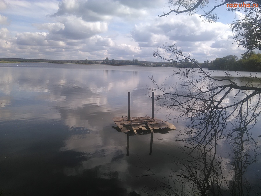 Курская область - Торчит из пруда