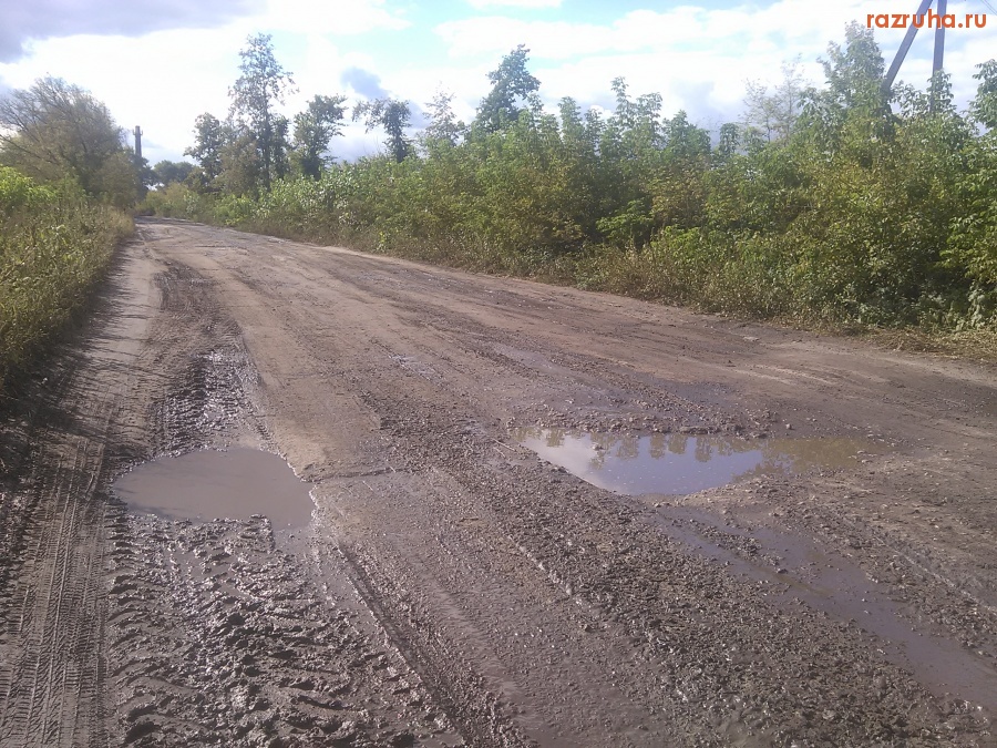 Курская область - Дорога в Камышах