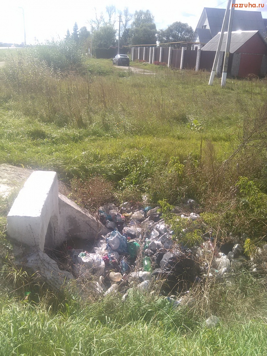 Курская область - Гадят в водосток