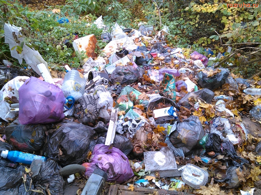 Курская область - Кидают мусор на склон