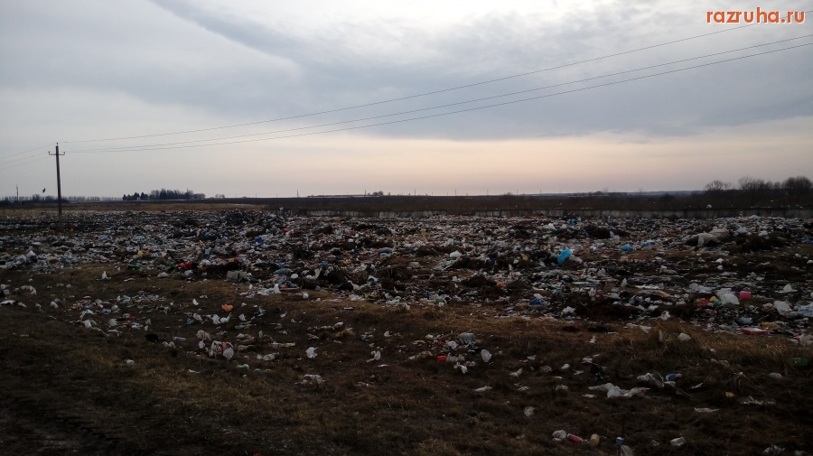 Курская область - 1 км за п.г.т. Хомутовка Курская область