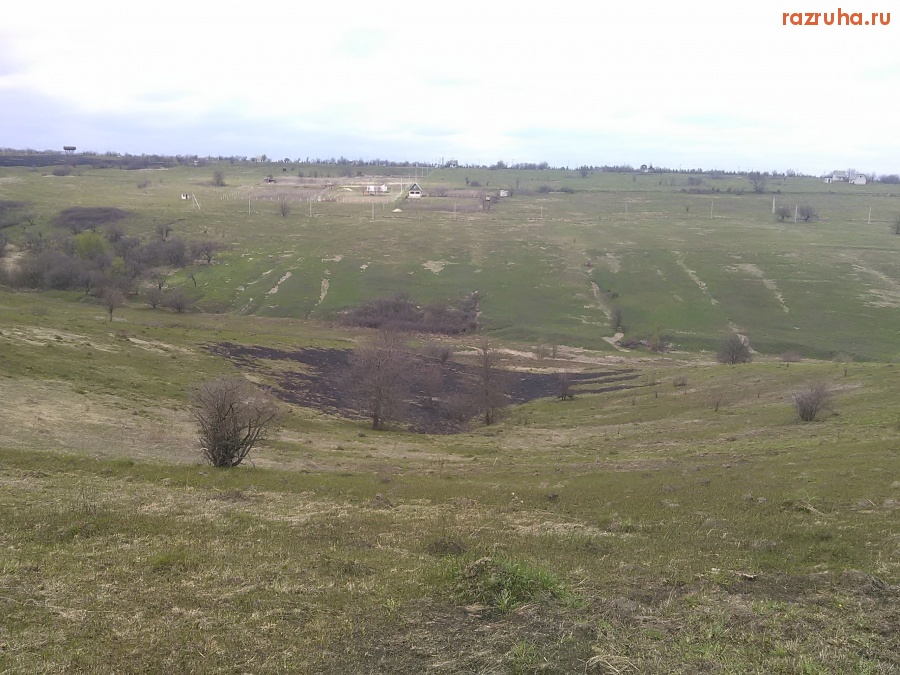 Курская область - Сгоревшая трава