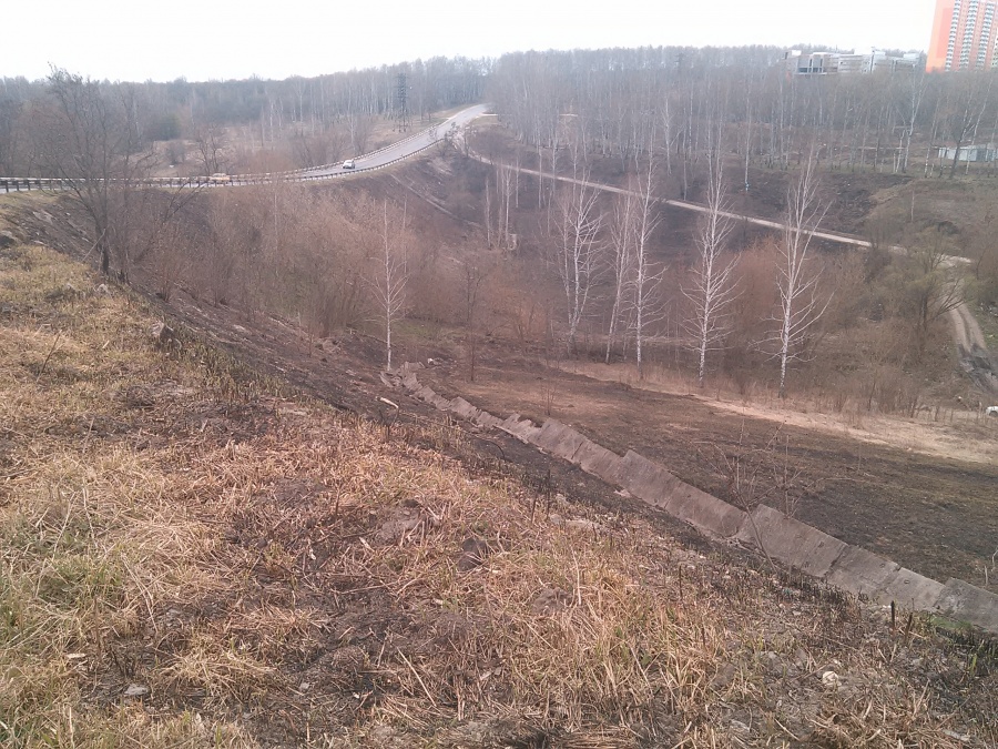 Курская область - Обгоревший склон