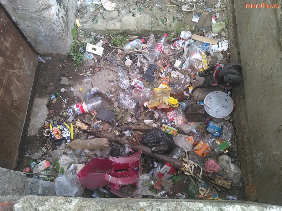 Курская область - Нагадили на лестницу