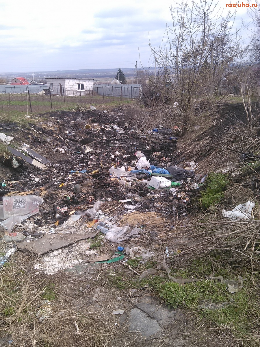 Курская область - Яма для сжигания мусора