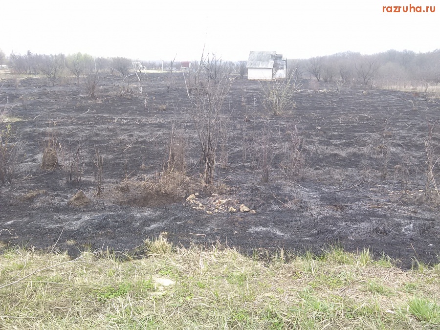 Курская область - Пал травы