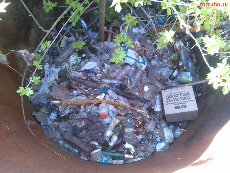 Курская область - Среди мусора дерево