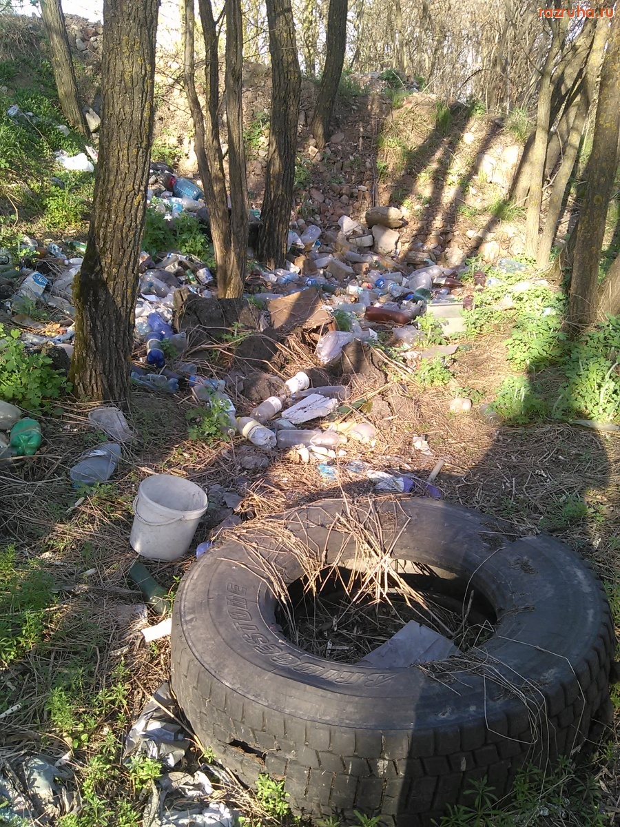 Курская область - Свалка на остановке