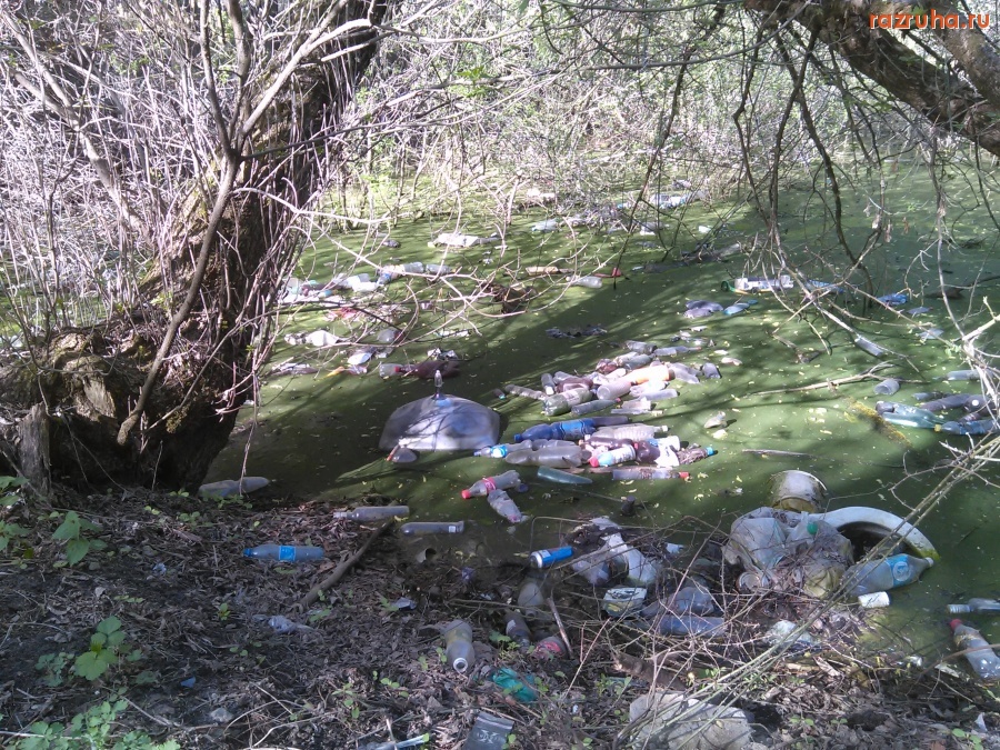 Курская область - Унитазы и мусор в болоте