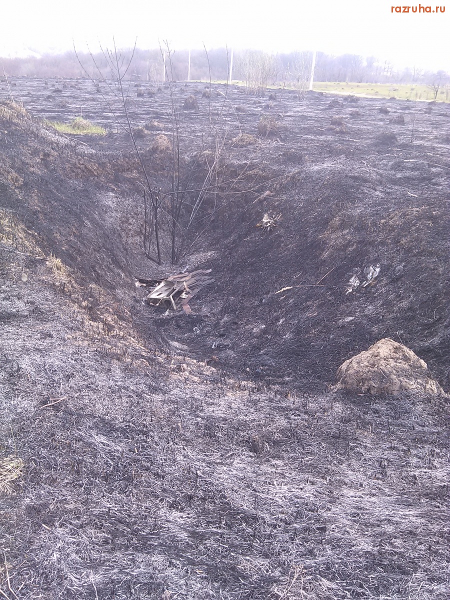 Курская область - Жгут траву