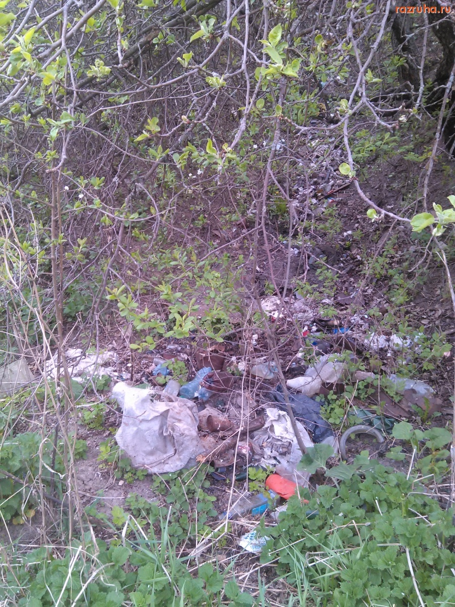 Курская область - Под кустом