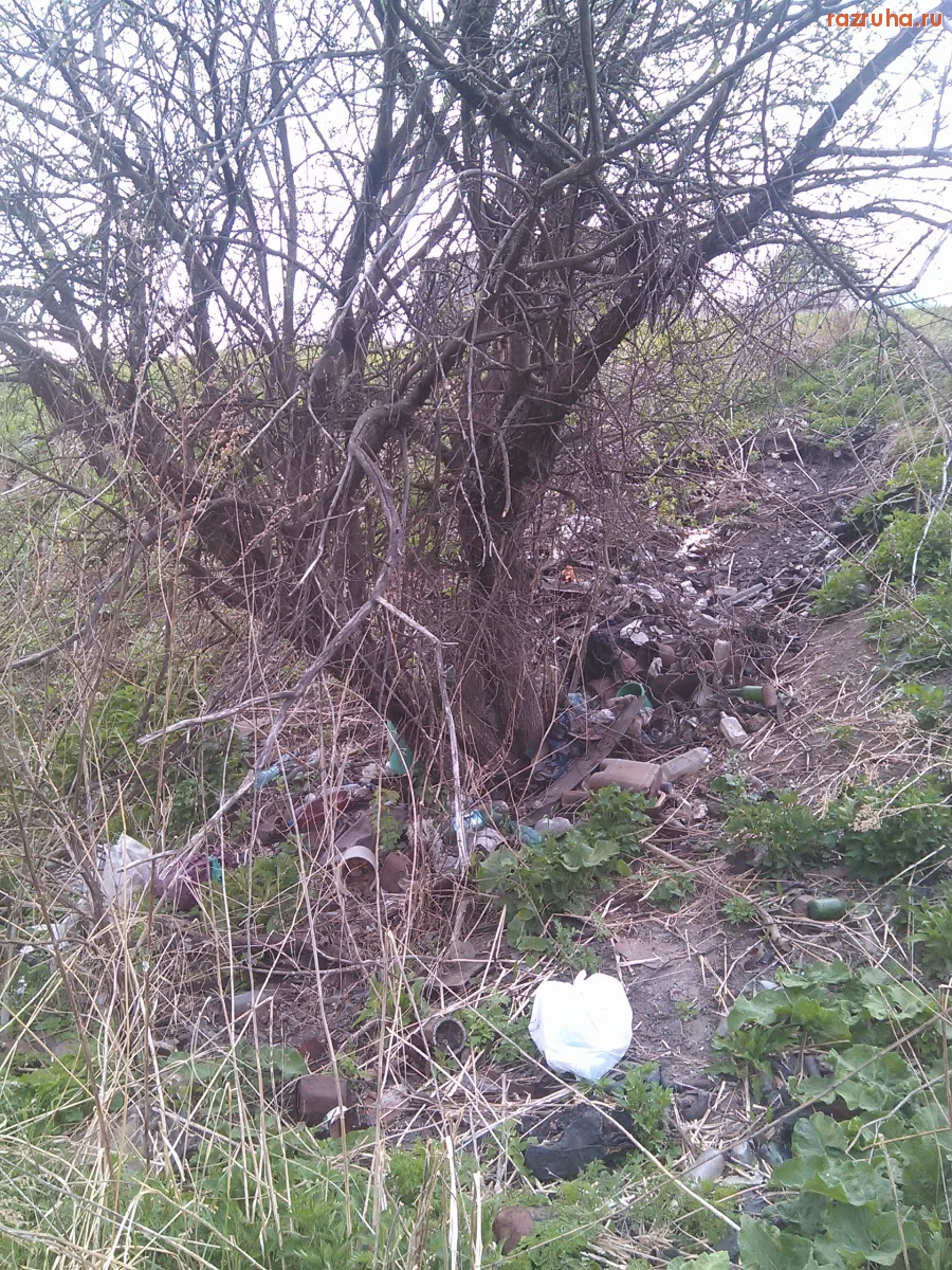 Курская область - Под деревом