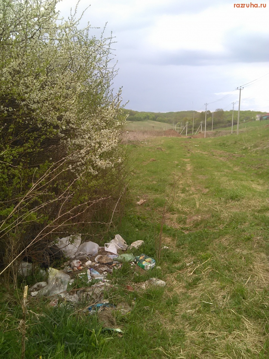 Курская область - Вонючая куча