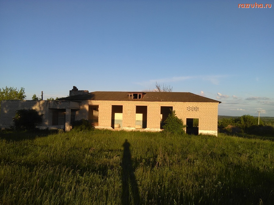 Курская область - Типа клуб