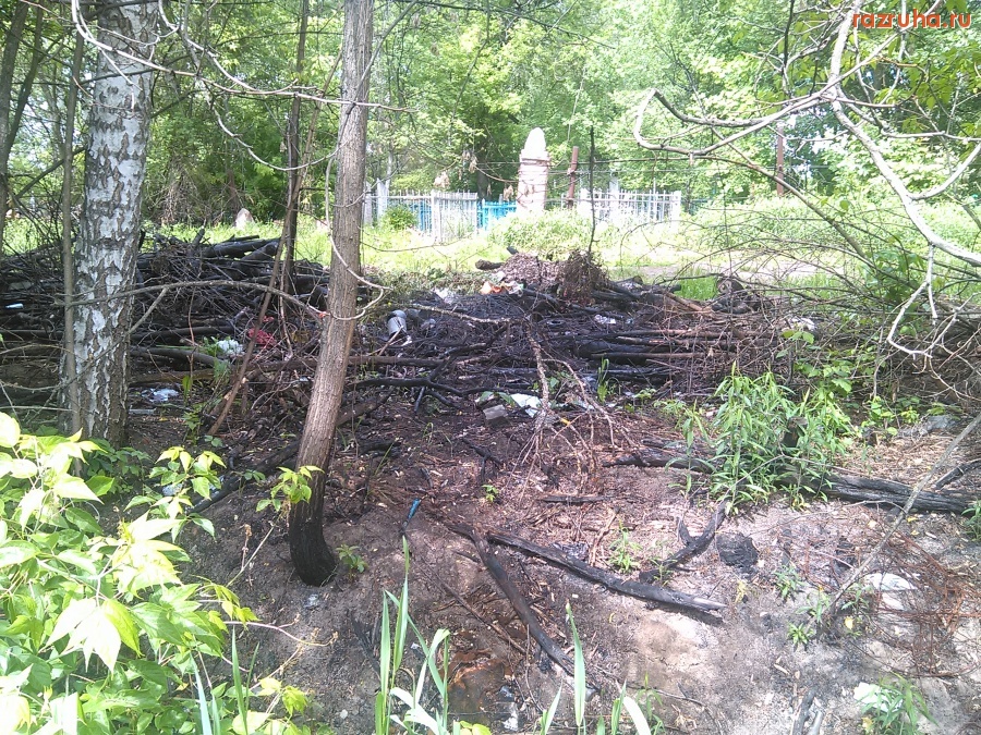 Курская область - Мусор жгут