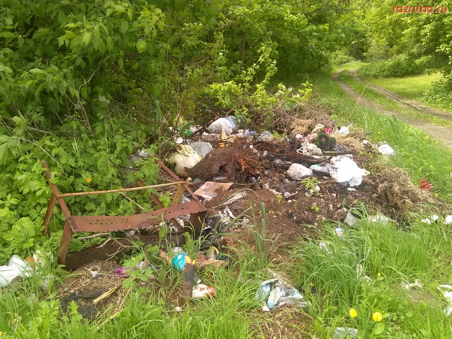 Курская область - Куча мусора