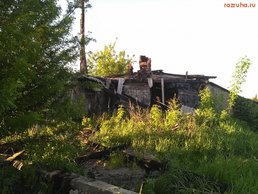 Курская область - Пепелище зарастает