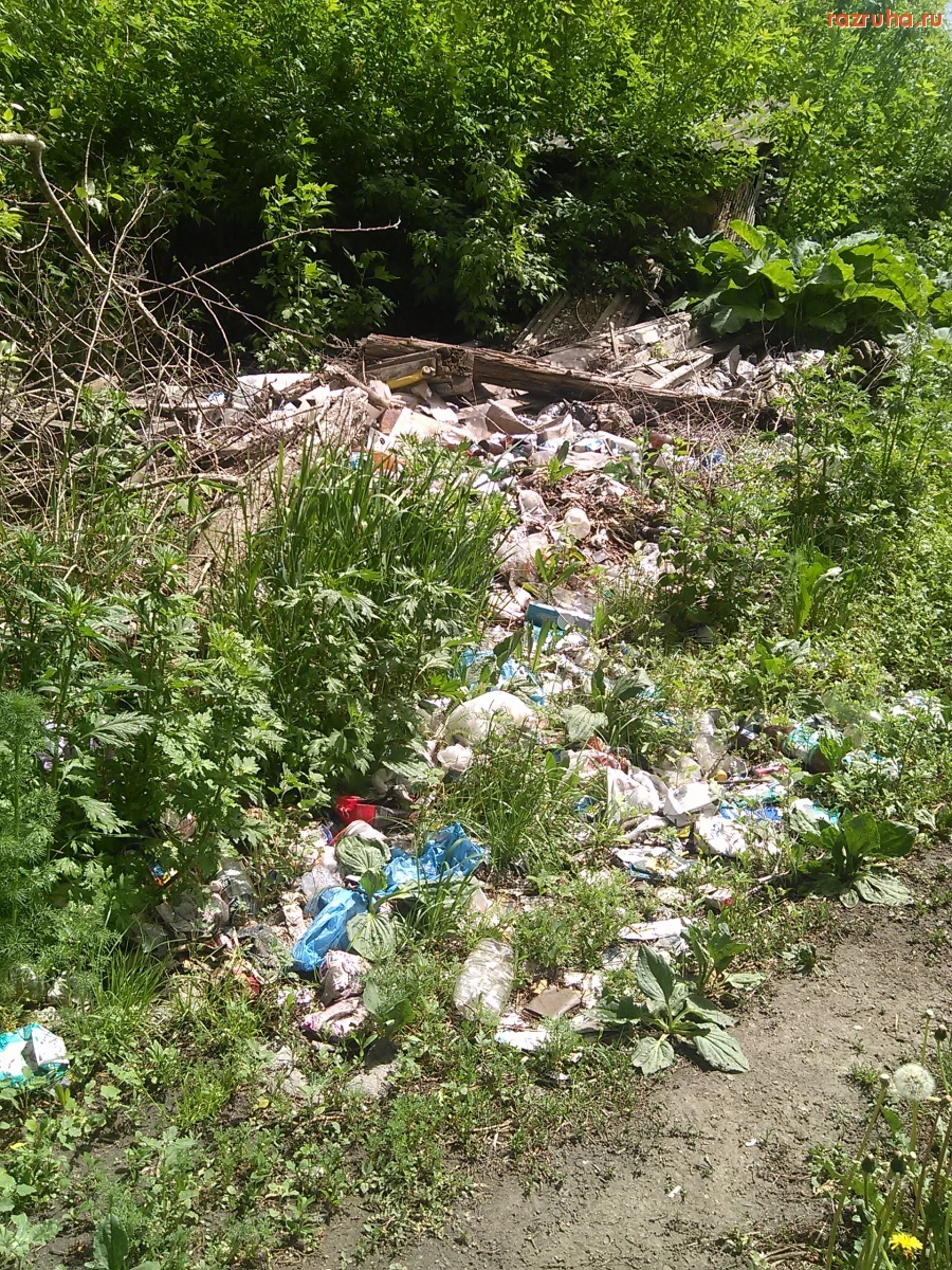 Курская область - Кучи в лесу