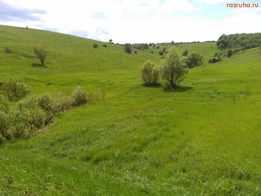 Курская область - Прудовый долгострой