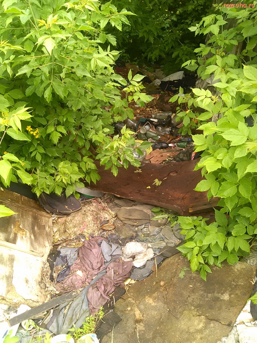 Курская область - Посетим бомжатник