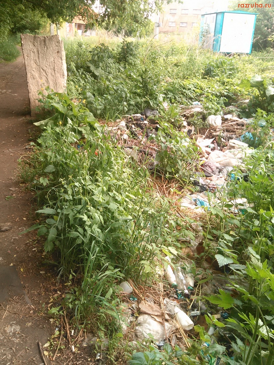 Курская область - У тропинки