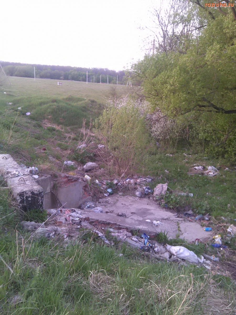 Курская область - Гадят в водосток