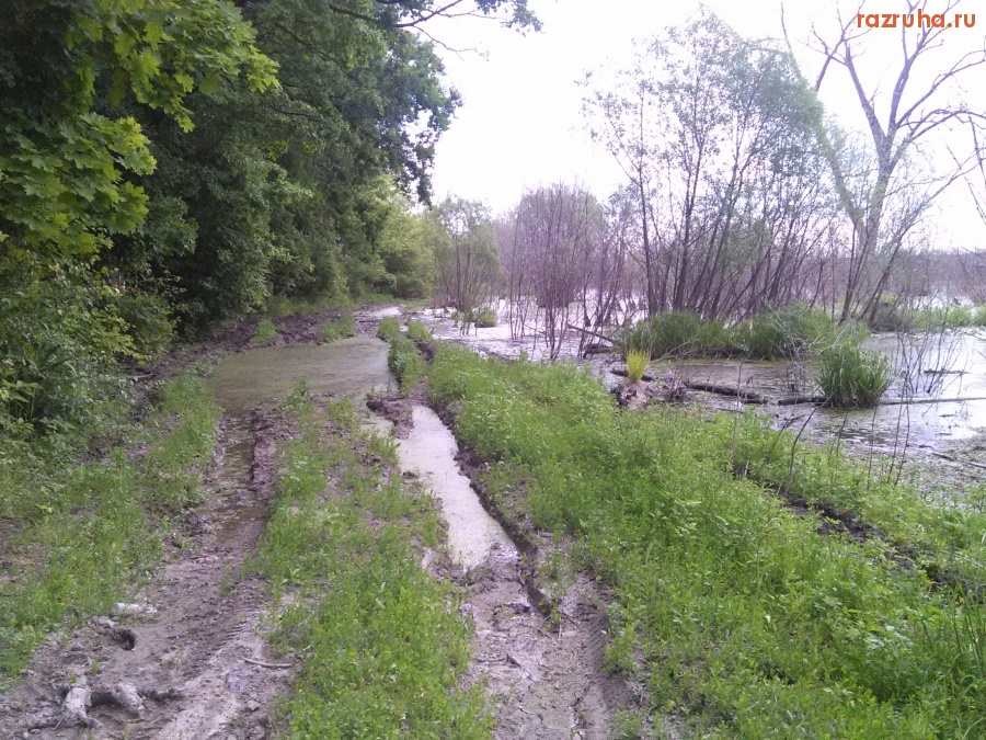 Курская область - Дорога куда-то?