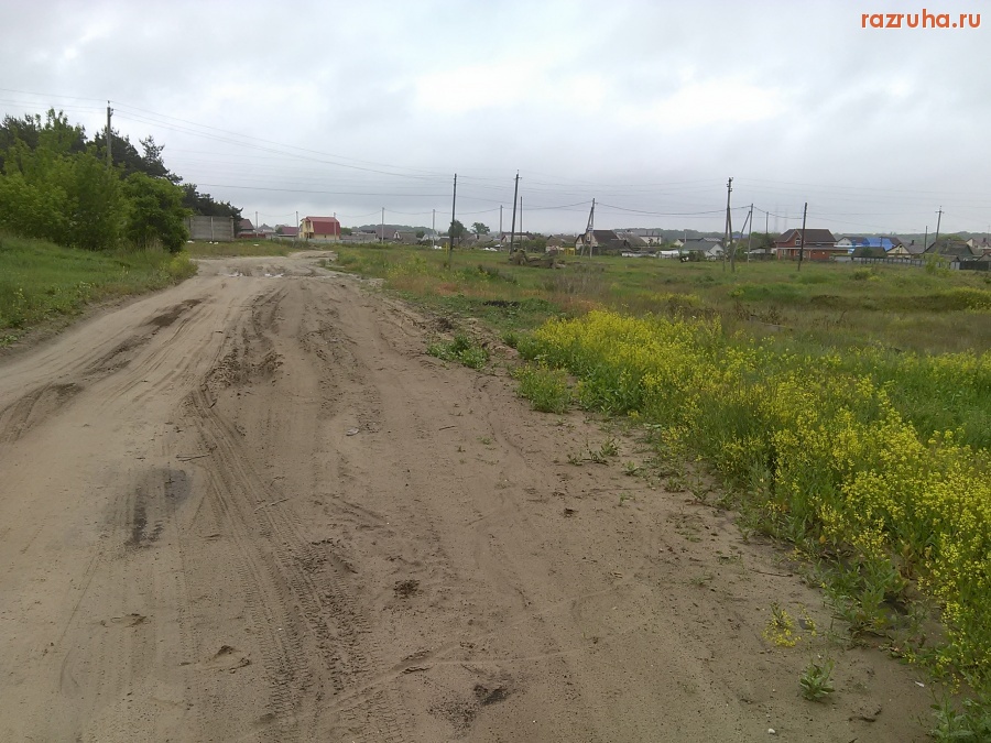 Курская область - Дорога на улице