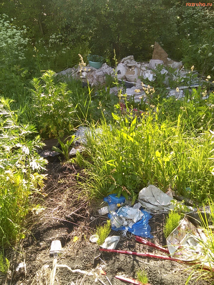 Курская область - Зарастает свалка