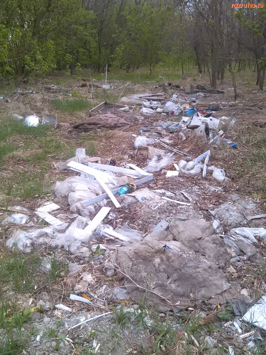 Курская область - Мусор на природе