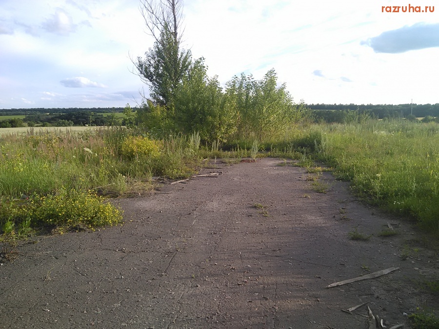 Курская область - Дорога в никуда