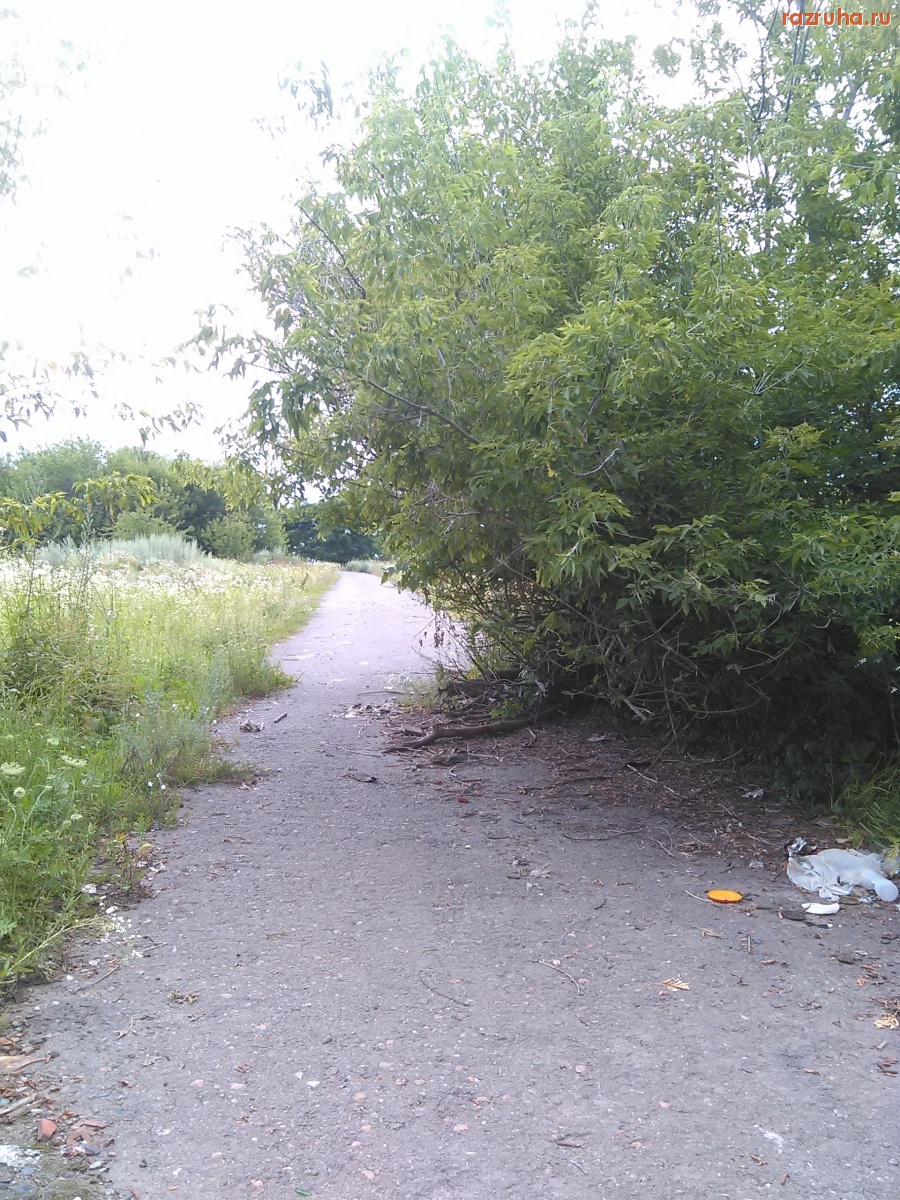 Курская область - В мусорное никуда