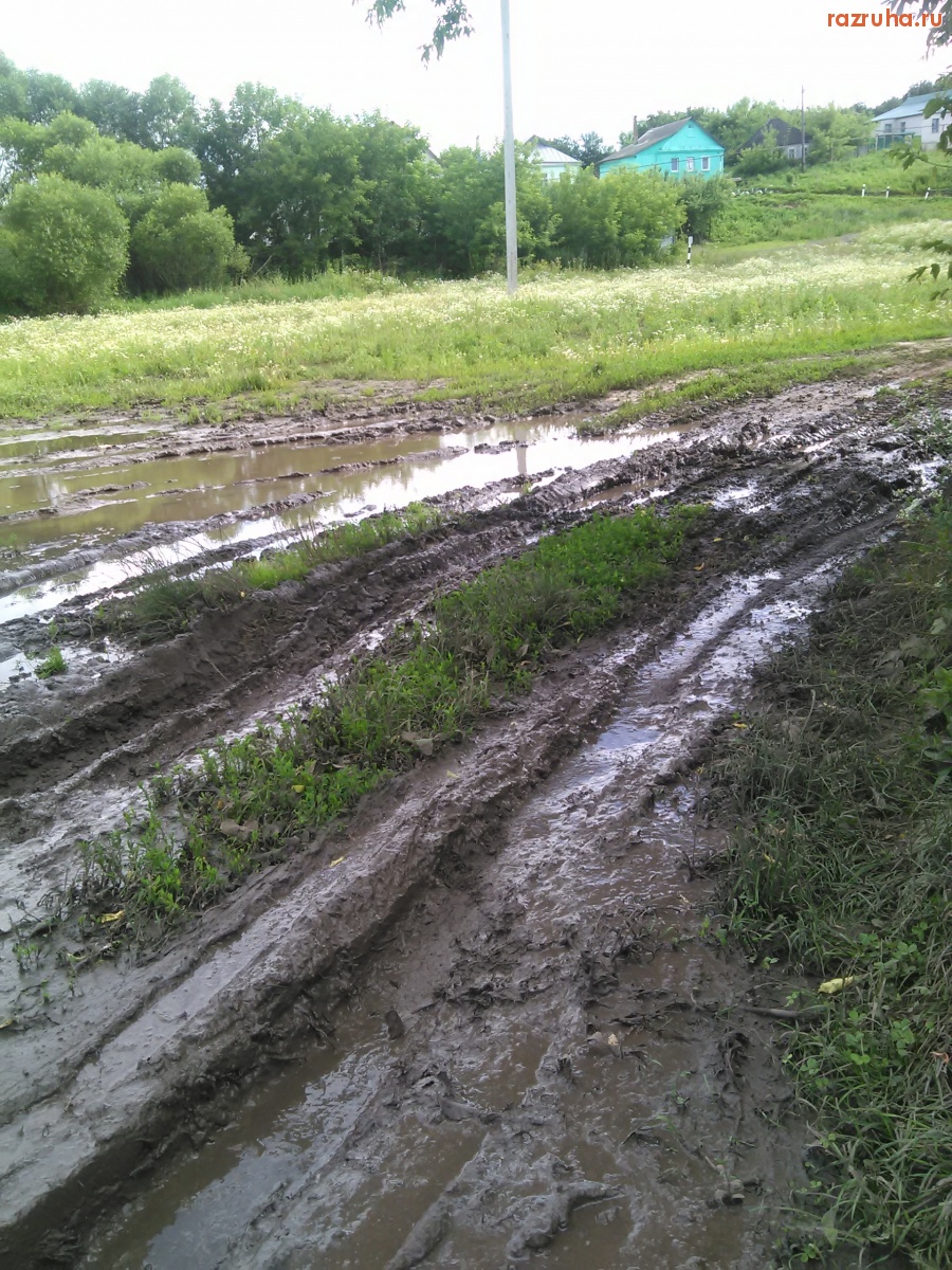 Курская область - Болото на дороге
